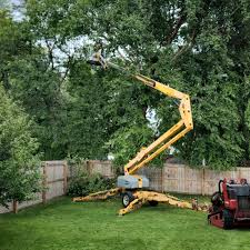 Seasonal Cleanup (Spring/Fall) in Burlingame, CA